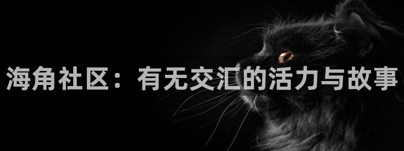 海角社区动图怎么下载：海角社区：有无交汇的活力与故事