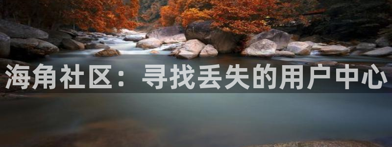 海角社区车牌：海角社区：寻找丢失的用户中心