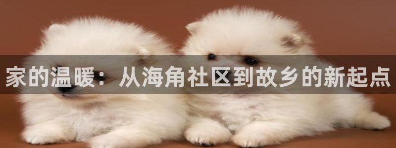 安坪镇海角社区在哪里：家的温暖：从海角社区到故乡的新起点