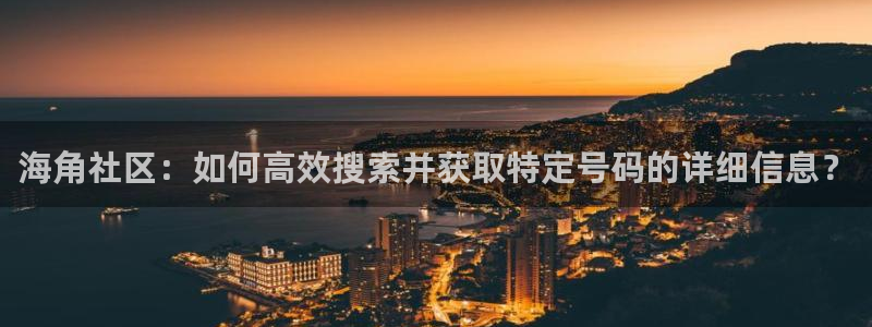 海角社区动车：海角社区：如何高效搜索并获取特定号码的详细信息？