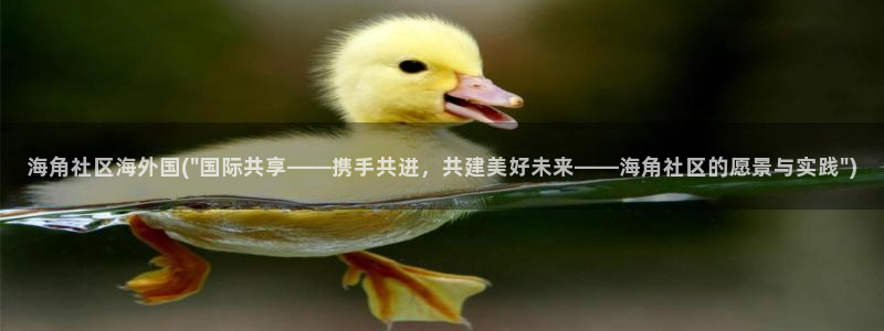 海角社区色板大全：海角社区海外国(\