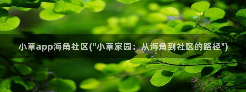 求海角社区app下载：小草app海角社区(\