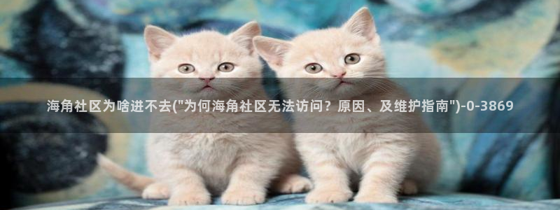 谁知道海角社区网站：海角社区为啥进不去(\