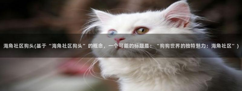 为什么海角社区进不去了：海角社区狗头(基于“海角社区狗头”的概念，一个可能的标题