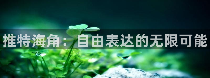 海角社区官网版下载：推特海角：自由表达的无限可能